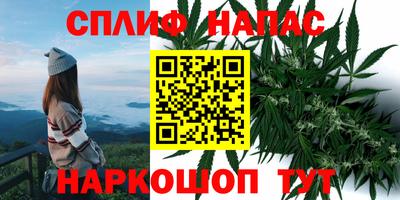 МДПВ Тверь