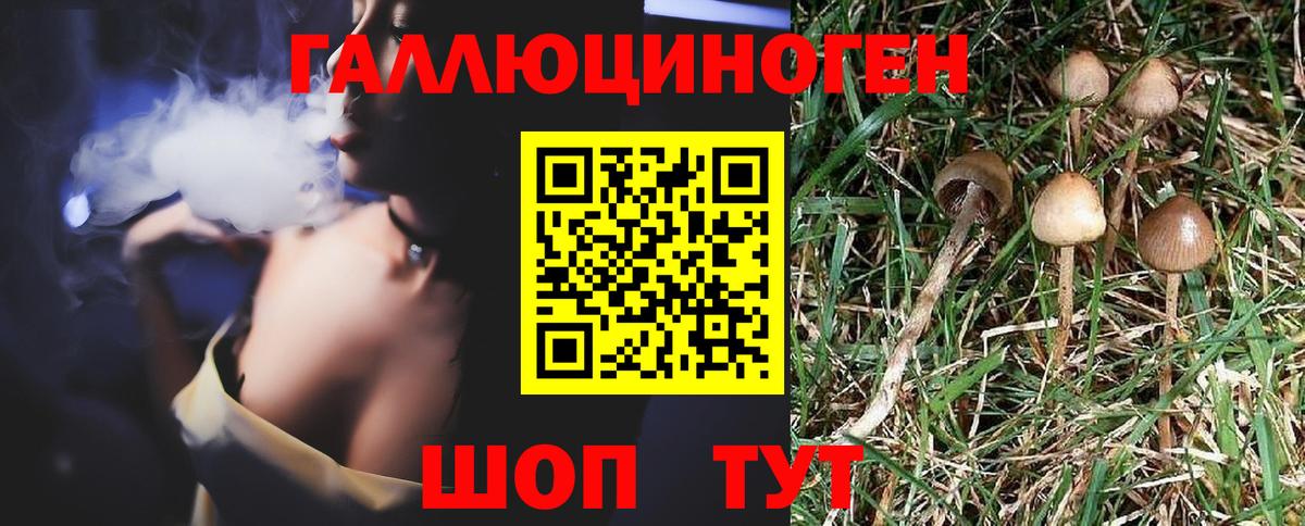 МАРИХУАНА Нововоронеж