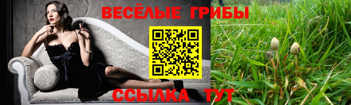 Псилоцибиновые грибы прущие грибы Нововоронеж